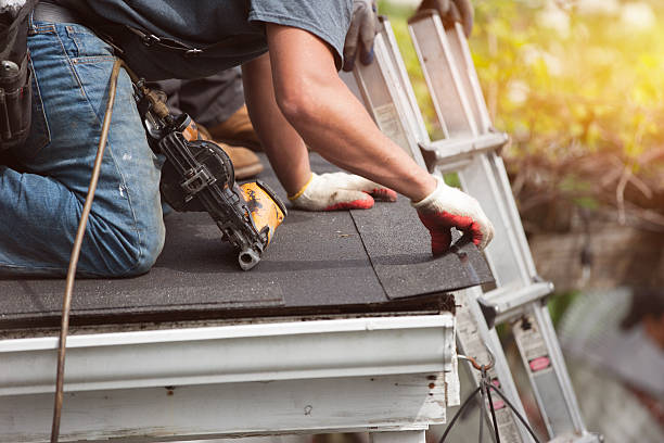 Best Roof Leak Repair  in Shannon, GA