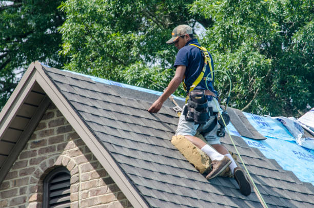 Best Storm Damage Roof Repair  in Shannon, GA